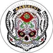 Slipmat Slip Mat Scratch Pad Felt for Any 12" LP DJ Vinyl Turntable Record Player Custom Graphical - Skull Tattoo