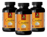 muscle growth - CREATINE MONOHYDRATE POWDER 300g - Muscle endurance - 3 Bottles