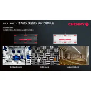 Cherry MX 1.1 RGB TKL 雪白極光 紅軸 黑曜極光 茶軸 黑色 白色 機械式鍵盤 電競鍵盤 易飛電腦