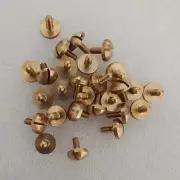 30 Pcs New French Horn Euphonium Baritone Tuba Repair Part Screws Piston Screw