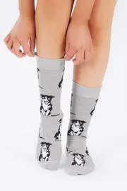 Border Collie Socks--LAF-18COLGRE