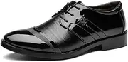 HALMSZB Spring Leather Shoes for Men Business Wedding Shoes lace-up Pointed Toe Shoes Oxfords(Black,46)