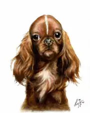 ✿ ORIGINAL Oil Dog Portrait Painting ENGLISH TOY SPANIEL Artist Signed Artwork