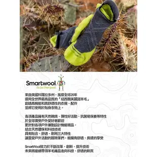 【Smartwool】男 PhD戶外輕量減震印花中筒襪