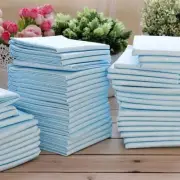 20 Pieces Small Pets Diapers Dog Puppy Pet Pad Pee Training Pads Pet Supplies