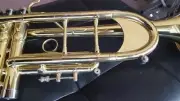 Berkeley Heavy cap set C Trumpet (w/Bb leadpipes) w/D2H Heavy MP Surprise!!FREE