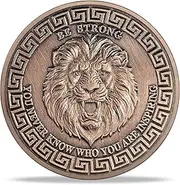 RYUKENLM Christian Knight Challenge Coin-Lion, Sword, and Shield-Symbol of Courage, Faith, and Protection-Inspirational Gift for Men Women