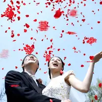 在飛比找Yahoo奇摩購物中心優惠-仿真玫瑰花瓣 100片入 婚禮 進場 花童 灑花 求婚 告白