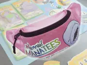 Millennial Manatees: Board Game in a Fanatee Pack Board Game New
