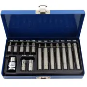 ProAm by KC Tools 15pc Star Bit Set