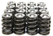 GSC Power Division 5043 Beehive Spring Set with Titanium Retainers