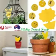 10/20/50/100x Dual Sided Sticky Trap Insect Killer Whitefly Thrip Fruit Fly Gnat