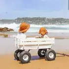 Beach Carts - Beach Buggy