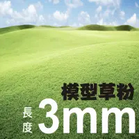 在飛比找蝦皮商城優惠-[ HankTown ] 3mm 模型草粉 草針 30g ｜