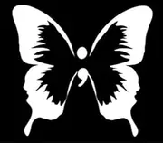 Butterfly Wing Semicolon Vinyl Decal | White | Made in USA by Foxtail Decals | for Car Windows, Tablets, Laptops, Water Bottles, etc. | 4.5 x 4.2 inch