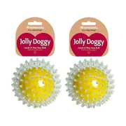 2PK Rosewood Pet Catch & Play Spike Tennis Ball