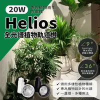 在飛比找momo購物網優惠-【CLSC Caudex 城市塊根】20W Helios 全