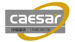 ※凱撒專賣※ CAESAR 凱撒 免治沖洗馬桶座 TAF210