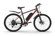 EMotorad Hardtail MTB ebike M006