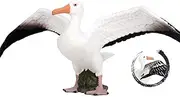 Flormoon Albatross Figure Realistic Animal Figurines Early Educational Bird Toy Science Project Christmas Birthday Cake Topper for Kids Toddler