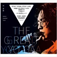 在飛比找Yahoo!奇摩拍賣優惠-唱片【預訂】林宥嘉The great yoga演唱會DVD平