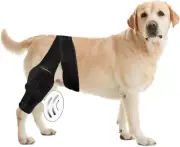 Medium Dog Knee Brace for Torn Acl Hind Leg for Support with Cruciate Ligamen...