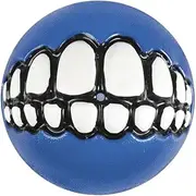Rogz Grinz Fetch Treat Dispensing Ball Dog Toy Blue Small