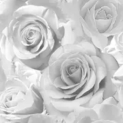 Madison Rose Glitter Floral Wallpaper Muriva Grey/Silver