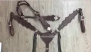 WesternBrown Leather Tack Set of Headstall, Breast collar