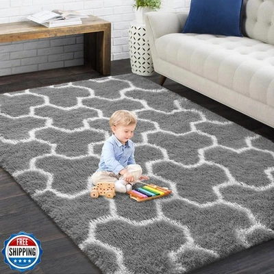 EVOIONOS Ultra Soft Area Rug for Bedroom, 3x5 Grey and White Geometric Patter