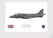 Warhead Illustrated Sea Harrier 800 NAS Falklands 1982 Aircraft Print