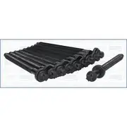 Austral Cylinder Head Bolt Set - 81029400