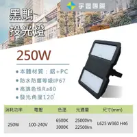 在飛比找蝦皮購物優惠-【宇豐國際】台灣品牌 LED 250W 黑鵰投光燈 投射燈 