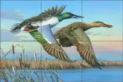 Duck Tile Backsplash Mike Brown Wildlife Art Ceramic Mural MBA008