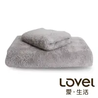 在飛比找momo購物網優惠-【Lovel】7倍強效吸水抗菌超細纖維浴巾/毛巾2件組(共9