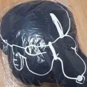Snoopy m9 H Uniqlo Peanut Cushion