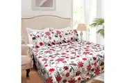 Hotel Living 3 Pce Light Weight Comforter Set Queen/King Corbett Floral Circles