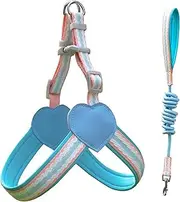 IUOUTG Dog Harness with Leash Set Soft Adjustable No Choke Escape Proof Pet Harness with Quick Release Buckle for Dogs Cats