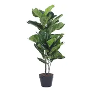 Eden Potted Fiddle Leaf Tree 95cm