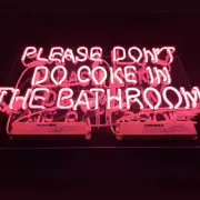 19" Please Don't Do Coke In The Bathroom Pink Display Man Cave Neon Light Sign