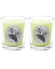 Qualitas Candles Saffron Two Scented Beeswax Candle Set