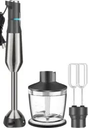 Ganiza Immersion Blender 5 in 1 Hand Blender