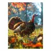 Turkey Canvas Print