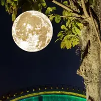 在飛比找樂天市場購物網優惠-月亮燈室外太陽能吊燈戶外防水LED別墅花園庭院掛樹燈景觀月球
