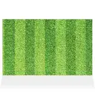 Home Decor Wall Sign Green Grass Style B Art Picture Frame