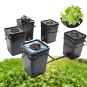 5 POTS 20L Hydroponics Systems DWC Deep Water Culture System Square Grow Kit