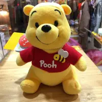 在飛比找Yahoo!奇摩拍賣優惠-東京迪士尼樂園 35週年 pooh 小熊維尼 聲控維尼 娃娃