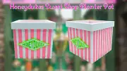 Hogsmeade Honeydukes Legendary Wizarding Sweet Shop Planter Pot w/ Drainage Hole