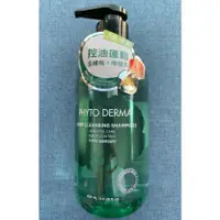 在飛比找蝦皮購物優惠-【棠棠屋】Phyto Derma 朵蔓 頭皮淨化洗髮精(控油