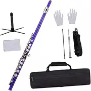 ERINGOGO Nickel c Key Flute for Teens School Band Music Class Boys and Girls Beginner Practice Metal Flute Case Cleaning Cloth